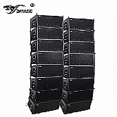 VERA36 dual 12 inch line array