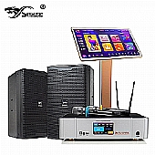 Party/ KTV Sound System -AAA class(15